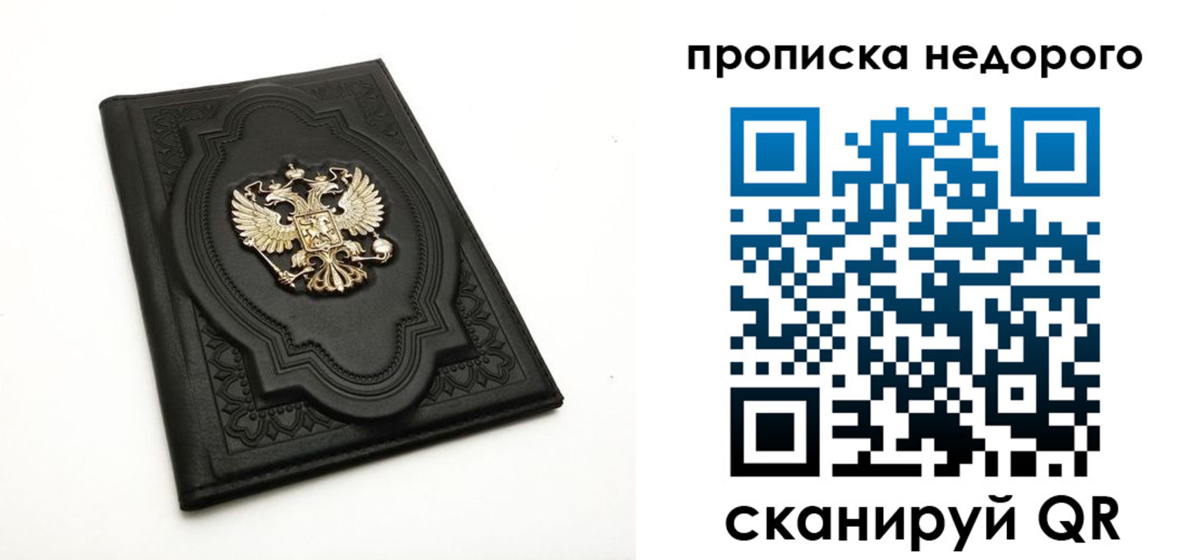 прописка для школы в Курской области