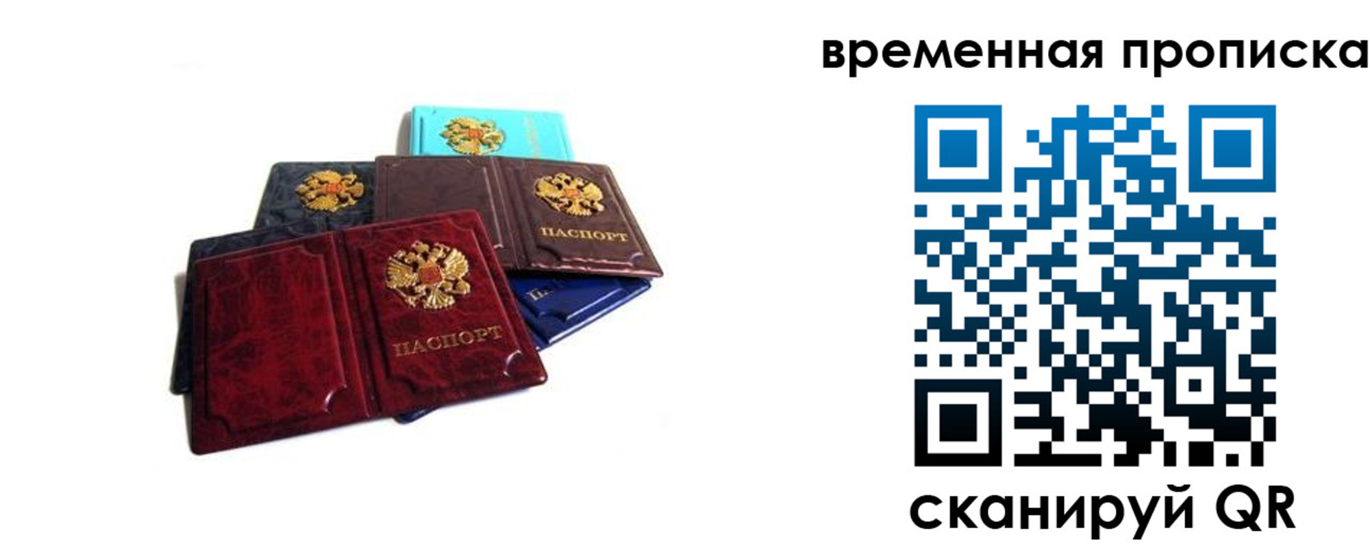 прописка законно в Курской области
